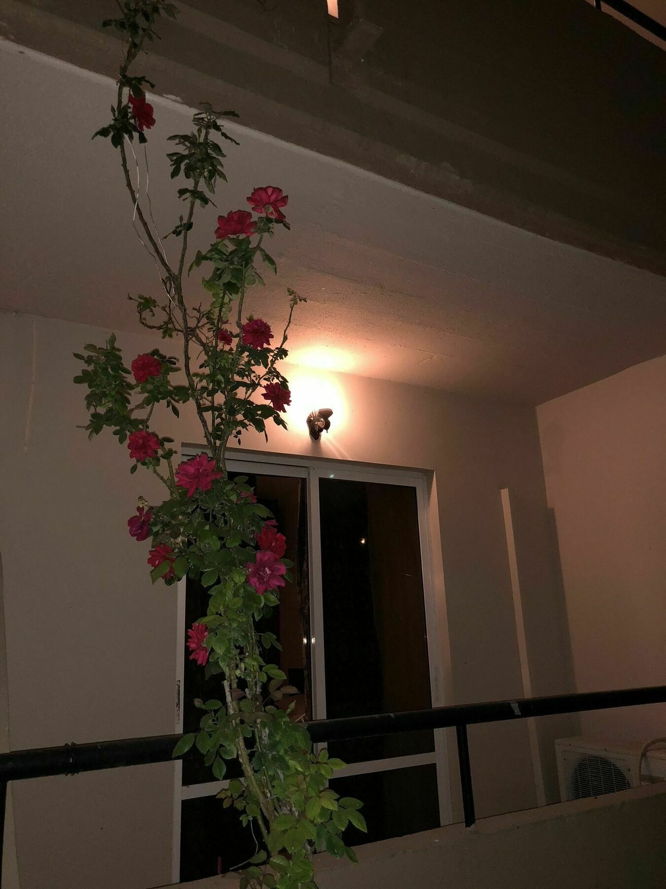 ホテル Jimmy'S Garden ファリラキ エクステリア 写真